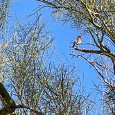 Review photo of West Pinal County Park by Mary H., January 31, 2022