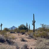 Review photo of West Pinal County Park by Mary H., January 31, 2022