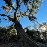 Review photo of Fontainebleau State Park Campground by donna H., January 31, 2022