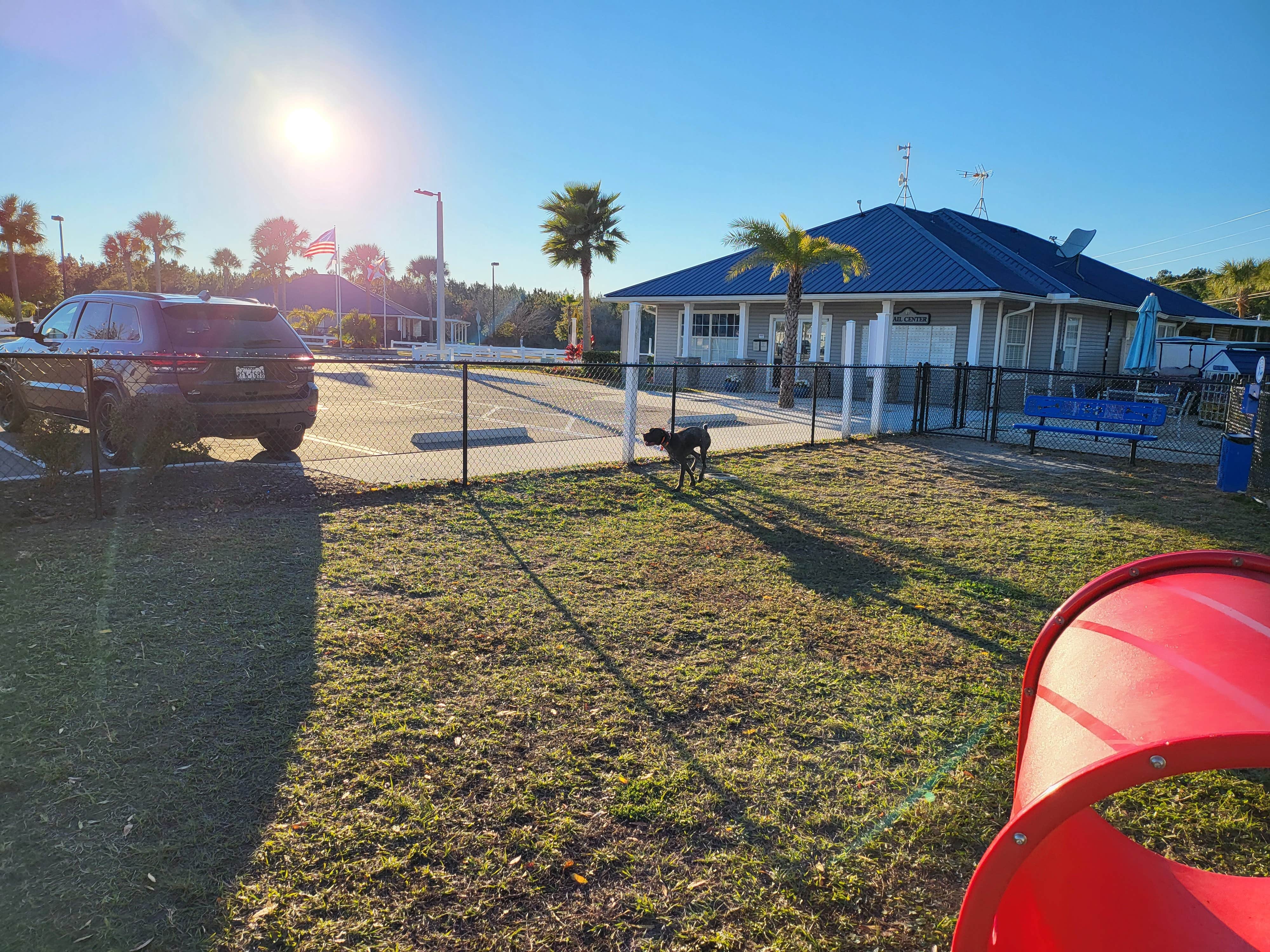T S.'s photo of camping with pets at Pecan Park RV Resort near Jacksonville, FL