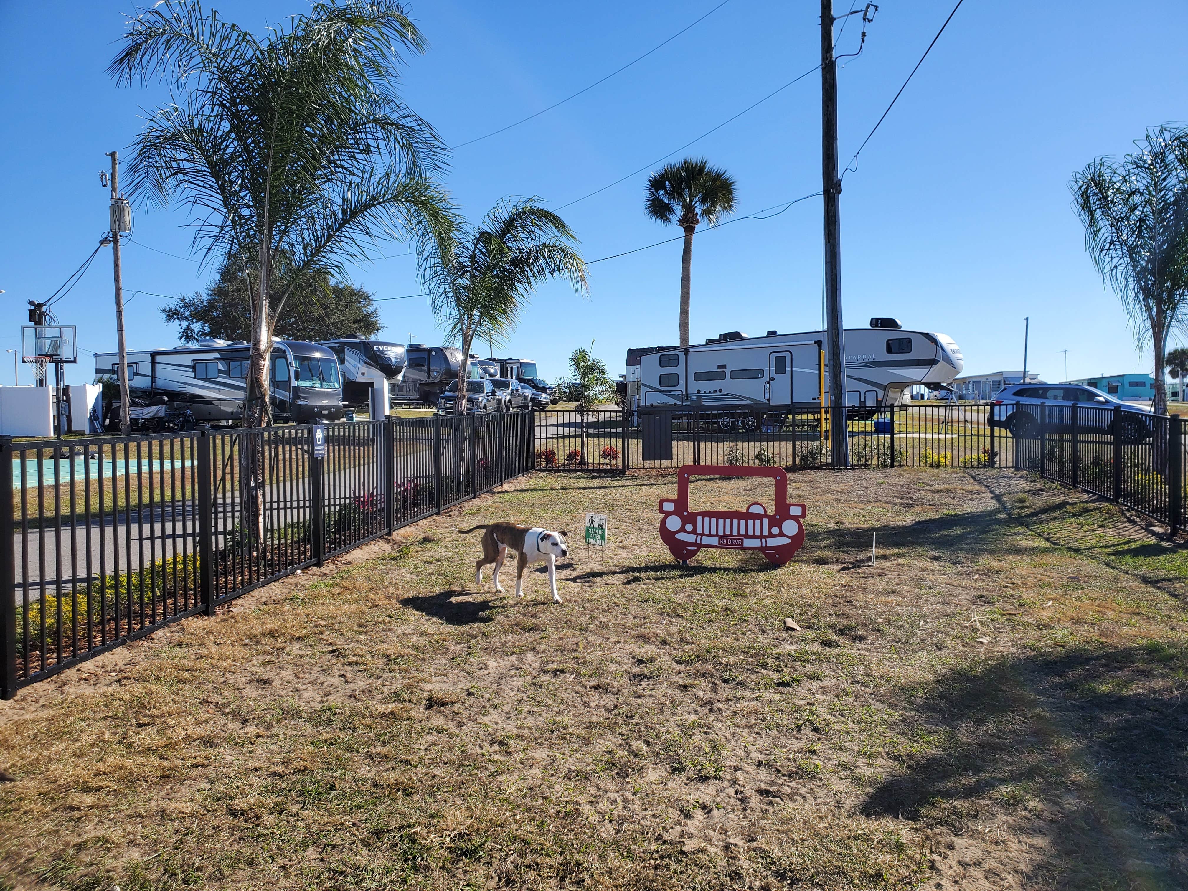 Clayton D.'s photo of camping with pets at Sun Outdoors Orlando ChampionsGate near Orlando, FL