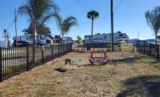 Clayton D.'s photo of camping with pets at Sun Outdoors Orlando ChampionsGate near Auburndale, FL