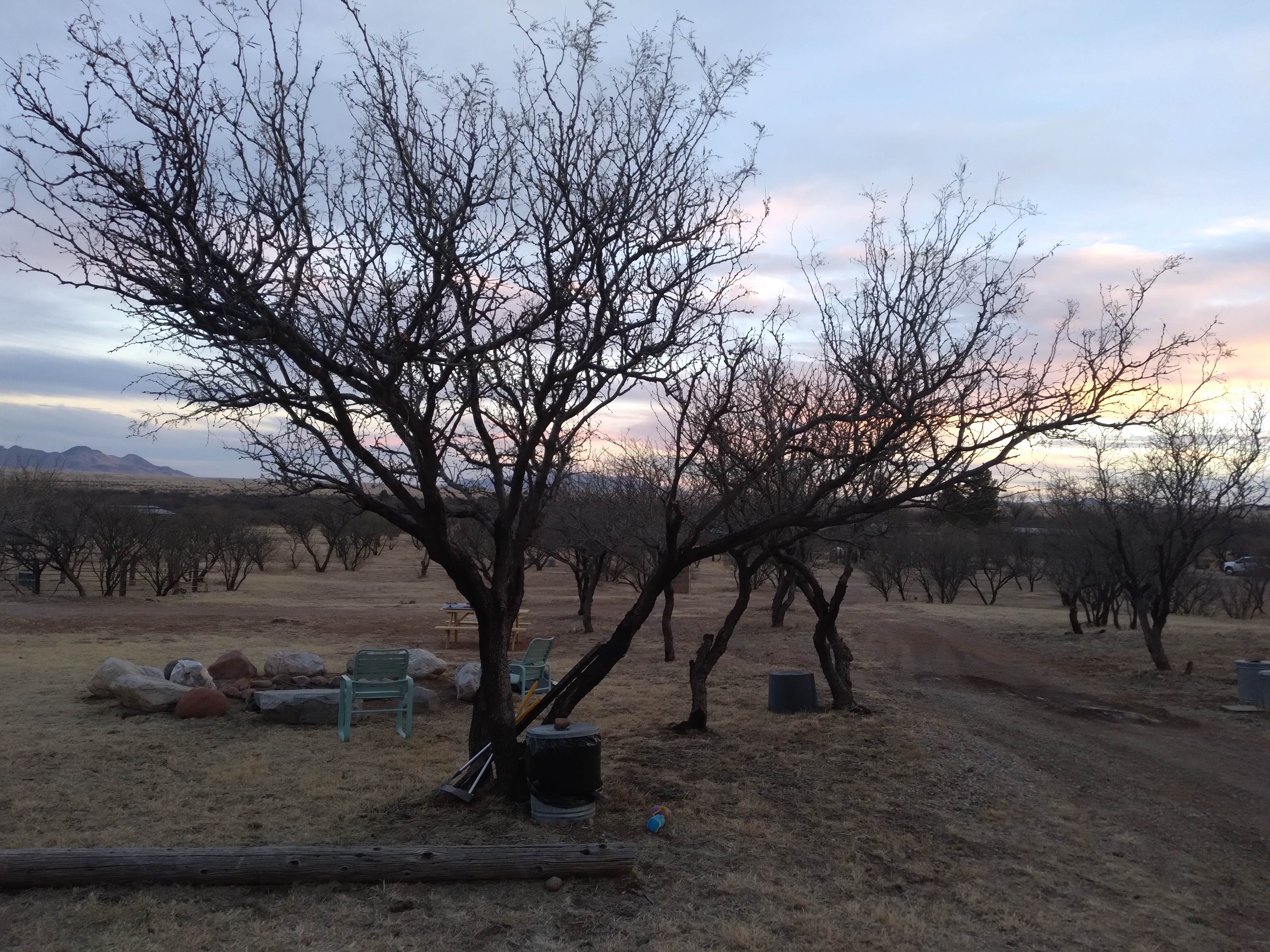 Tony C.'s photo at Rancho del Nido near Nogales, AZ