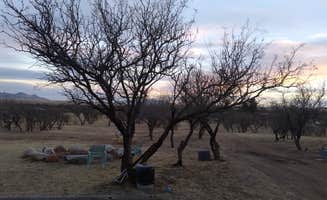 Tony C.'s photo at Rancho del Nido near Nogales, AZ