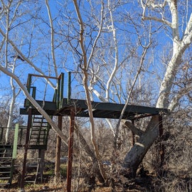 Treehouse, coming soon! Or now if you are adventurous.