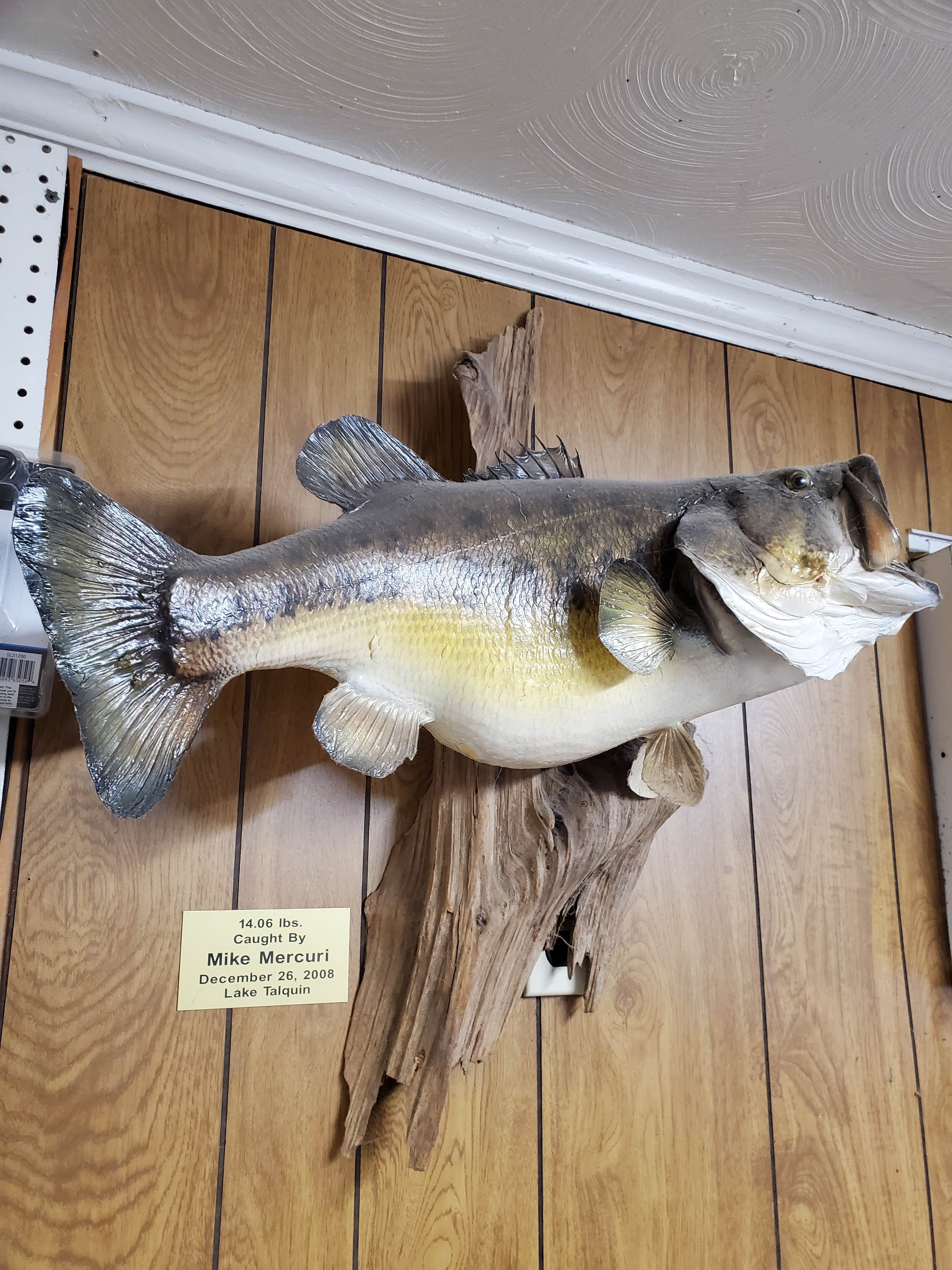 Camper-submitted photo at Ingram's Marina & Campground near Paradise Acres, GA