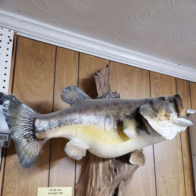 Ingram's Marina & Campground Quincy, FL