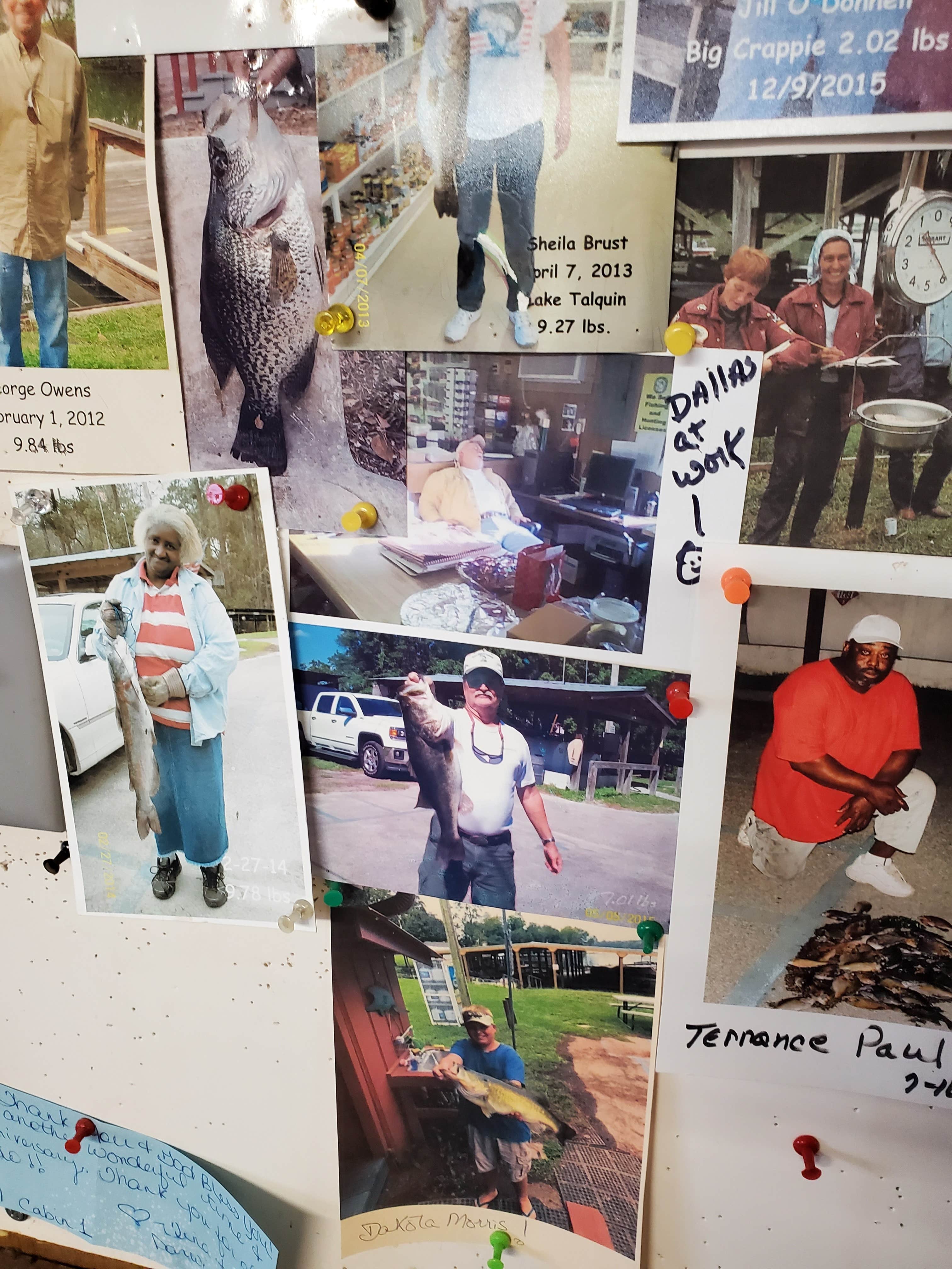 Camping near High Bluff Campground — Joe Budd WMA and Lake Talquin State Forest: Ingram's Marina & Campground, Quincy, Florida