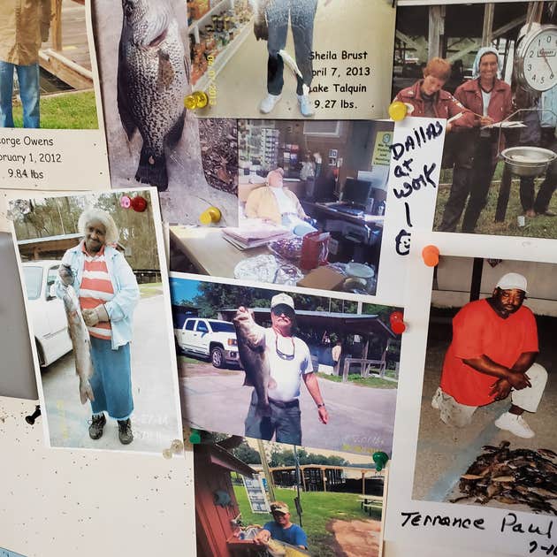 Ingram's Marina & Campground Quincy, FL