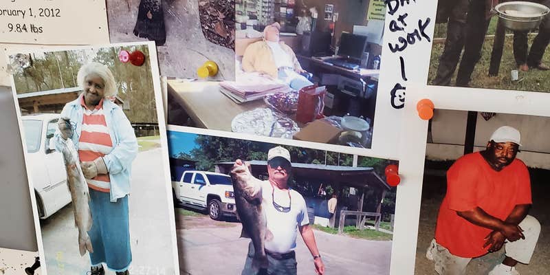 Camper submitted image from Ingram's Marina & Campground