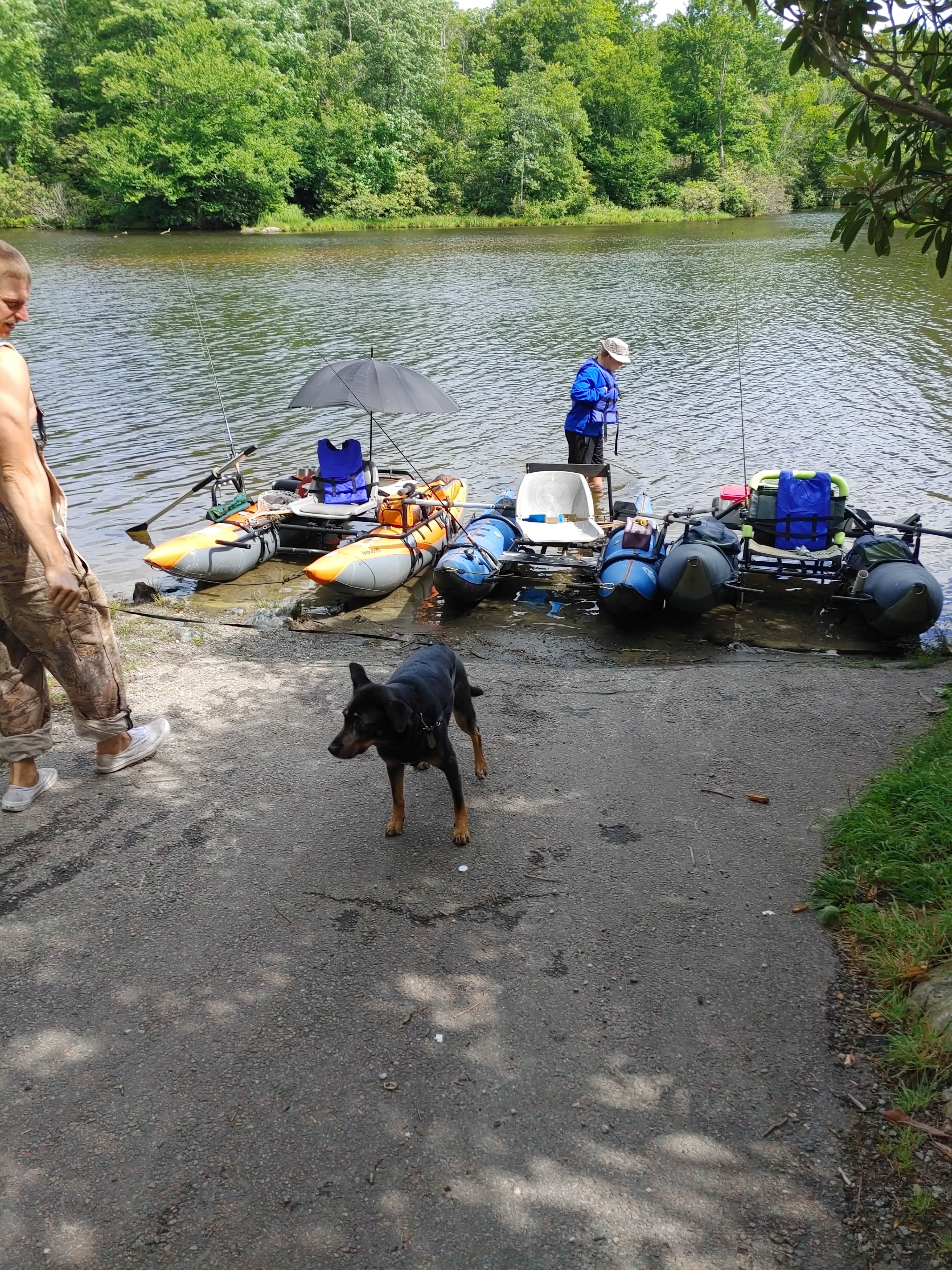 Marty P.'s photo of camping with pets at Julian Price Park Campground — Blue Ridge Parkway near Granite Falls, NC