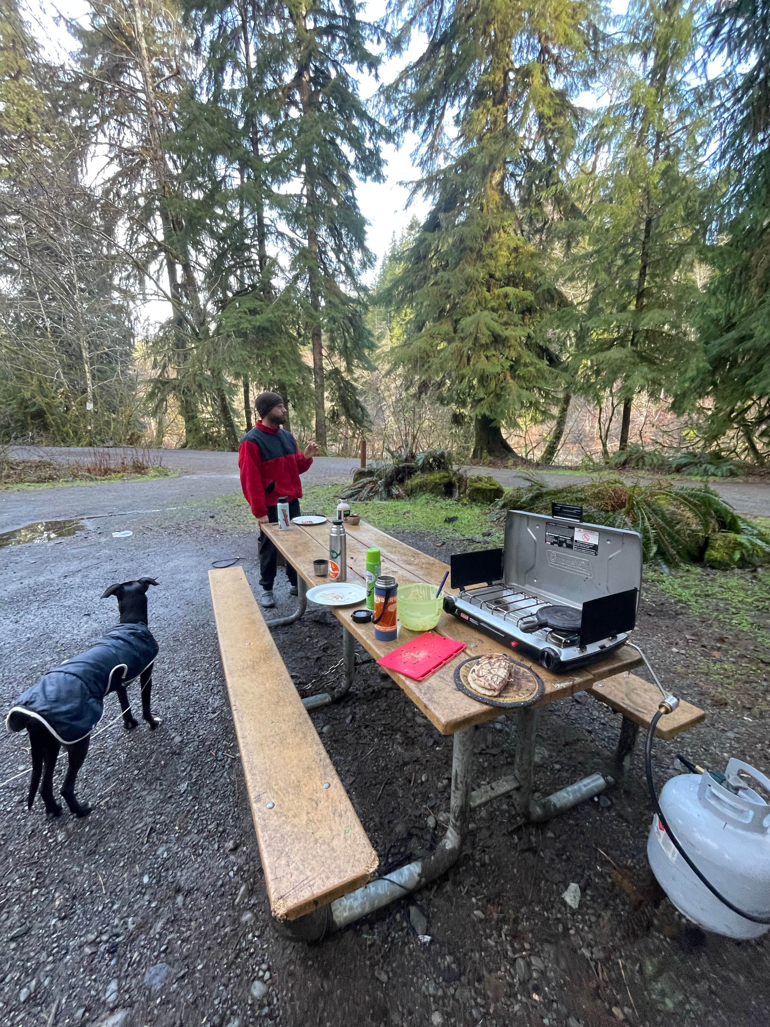 Reily K.'s photo of camping with pets at Hoh Oxbow Campground near Forks, WA