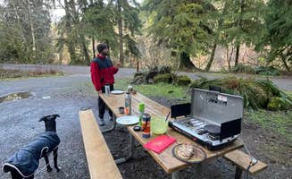 Reily K.'s photo of camping with pets at Hoh Oxbow Campground near La Push, WA
