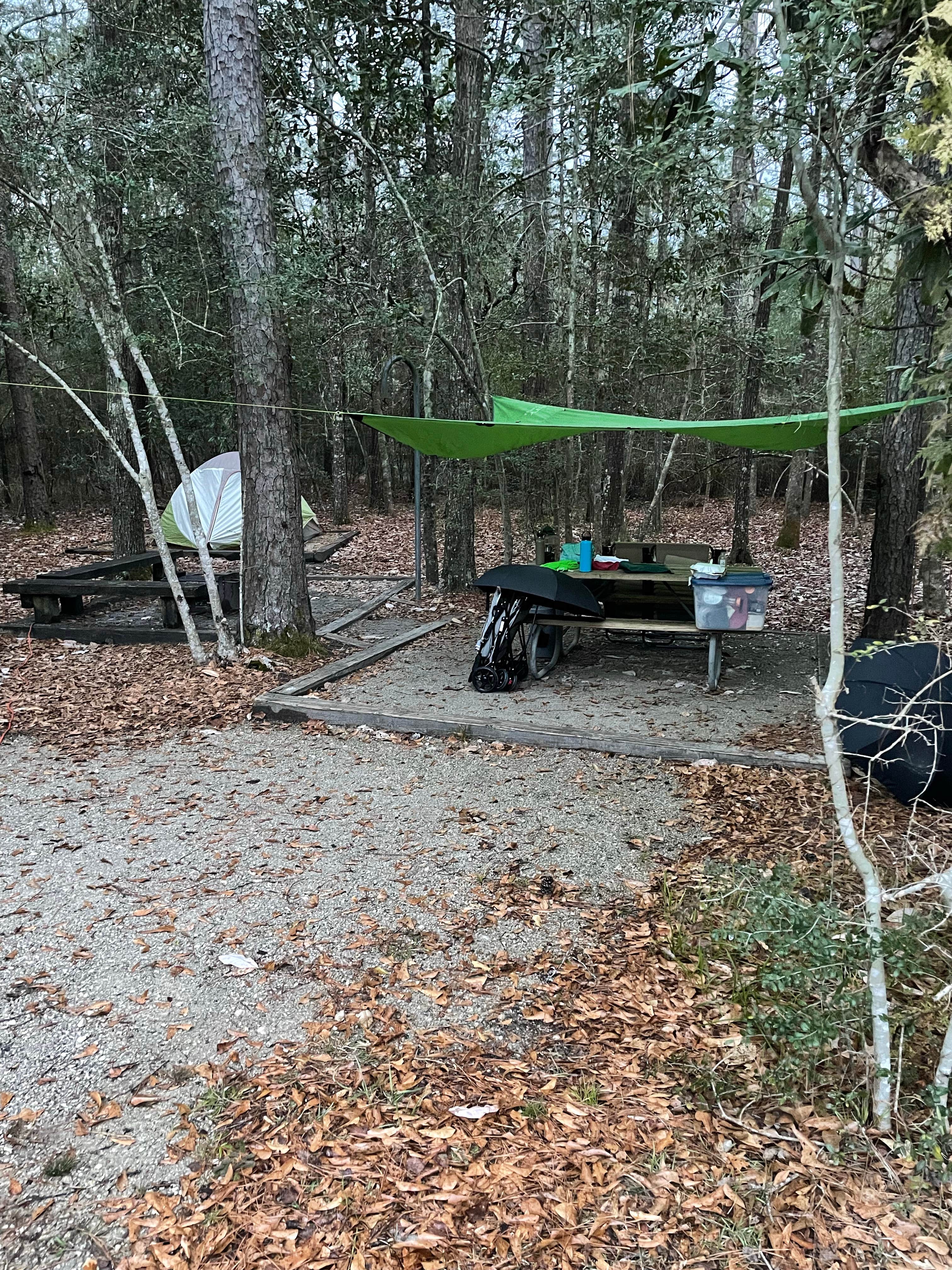 donna H.'s photo at Village Creek State Park Campground near Beaumont, TX