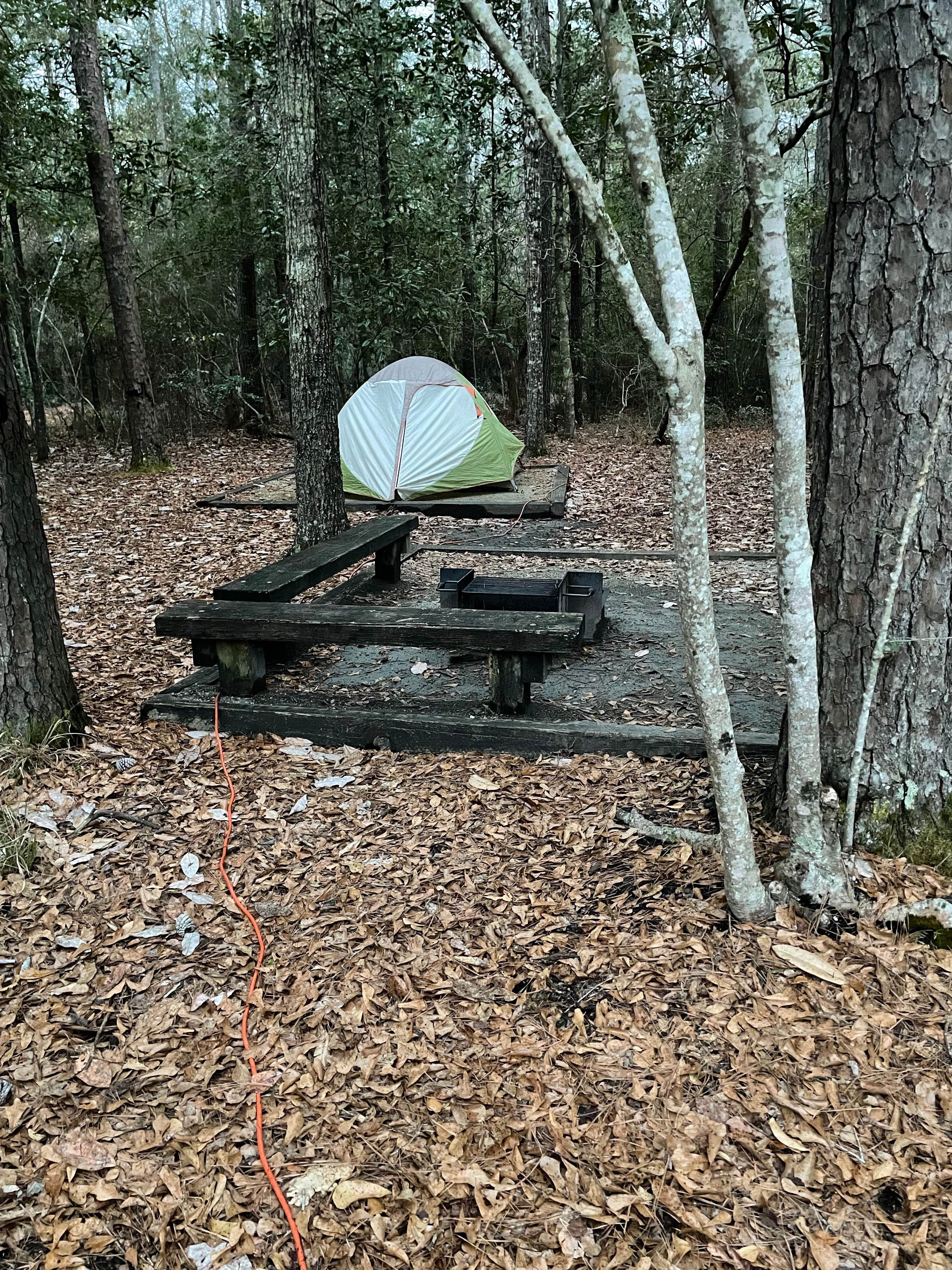 donna H.'s photo at Village Creek State Park Campground near Anahuac, TX