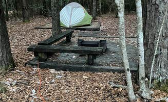 donna H.'s photo at Village Creek State Park Campground near Anahuac, TX