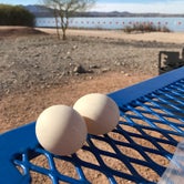 Review photo of Lake Havasu State Park Campground by Kevin J., February 2, 2022