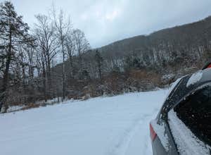 Lower Glady Dispersed Campground