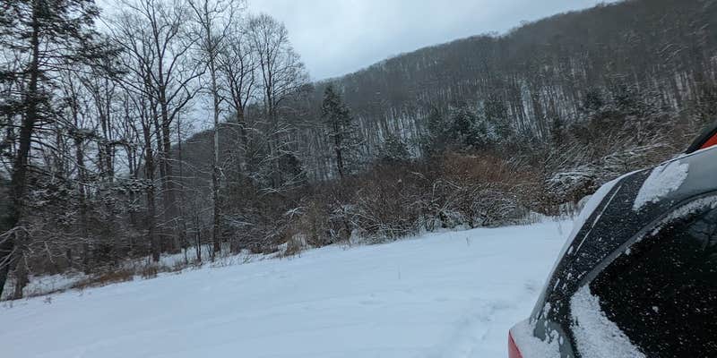 Camper submitted image from Lower Glady Dispersed Campground