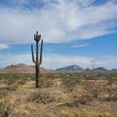 Review photo of Saddle Mountain BLM (Tonopah, AZ) by Wendie K., February 2, 2022