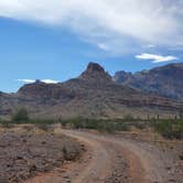 Review photo of Saddle Mountain BLM (Tonopah, AZ) by Wendie K., February 2, 2022