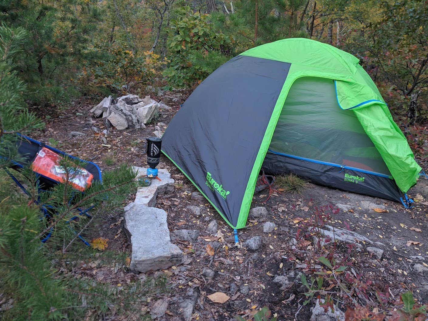 Camper submitted image from Veach Gap - GWNF - Backpacking Site - 1