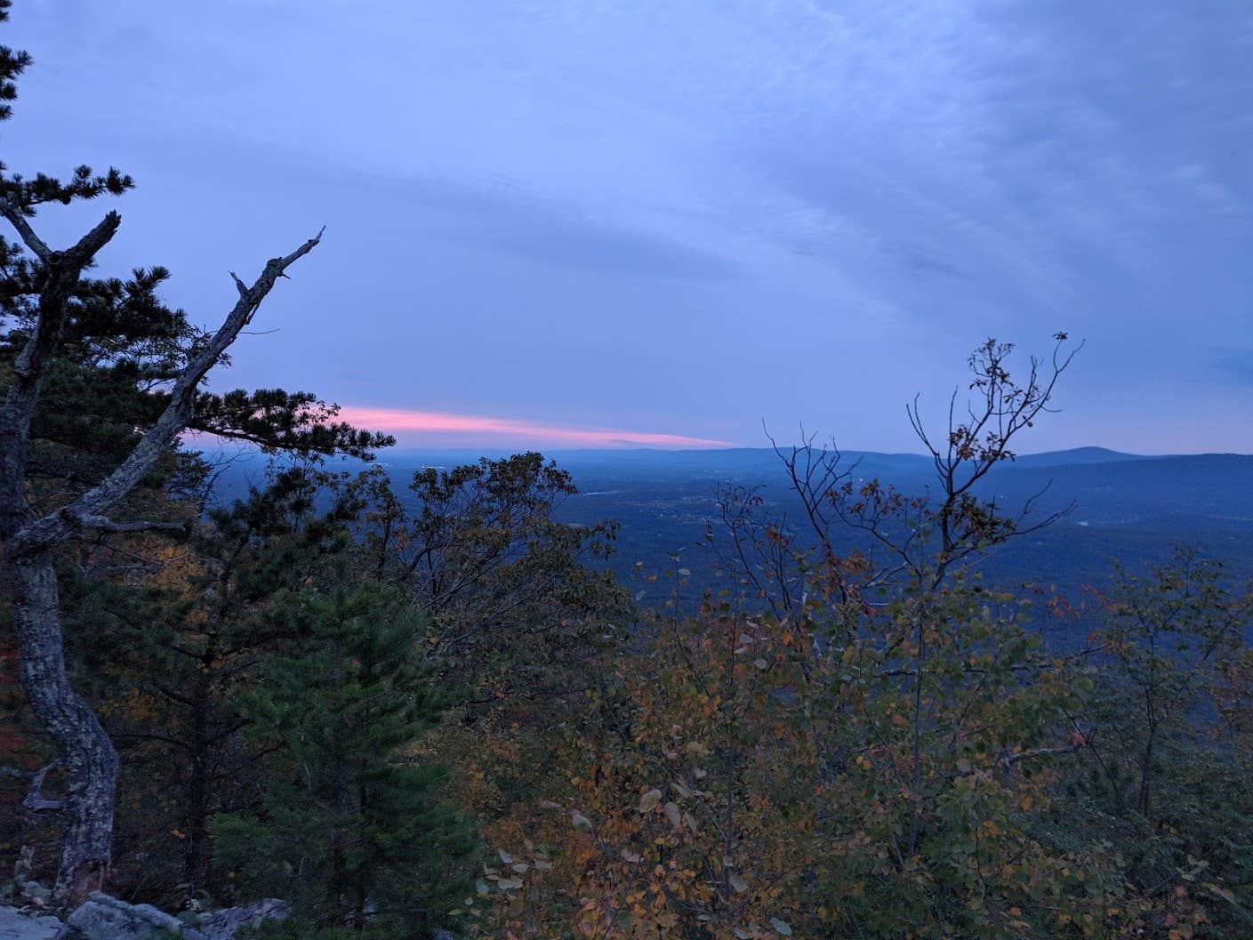 Camper submitted image from Veach Gap - GWNF - Backpacking Site - 2