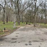 Review photo of Palmetto State Park Campground by donna H., February 2, 2022
