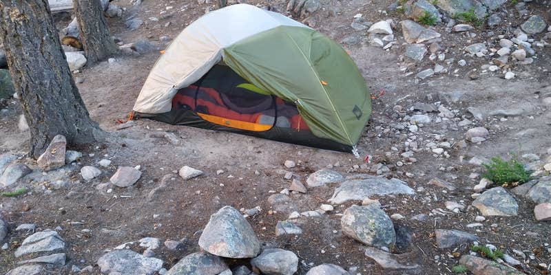 Camper submitted image from Black Lake Backcountry Campsite