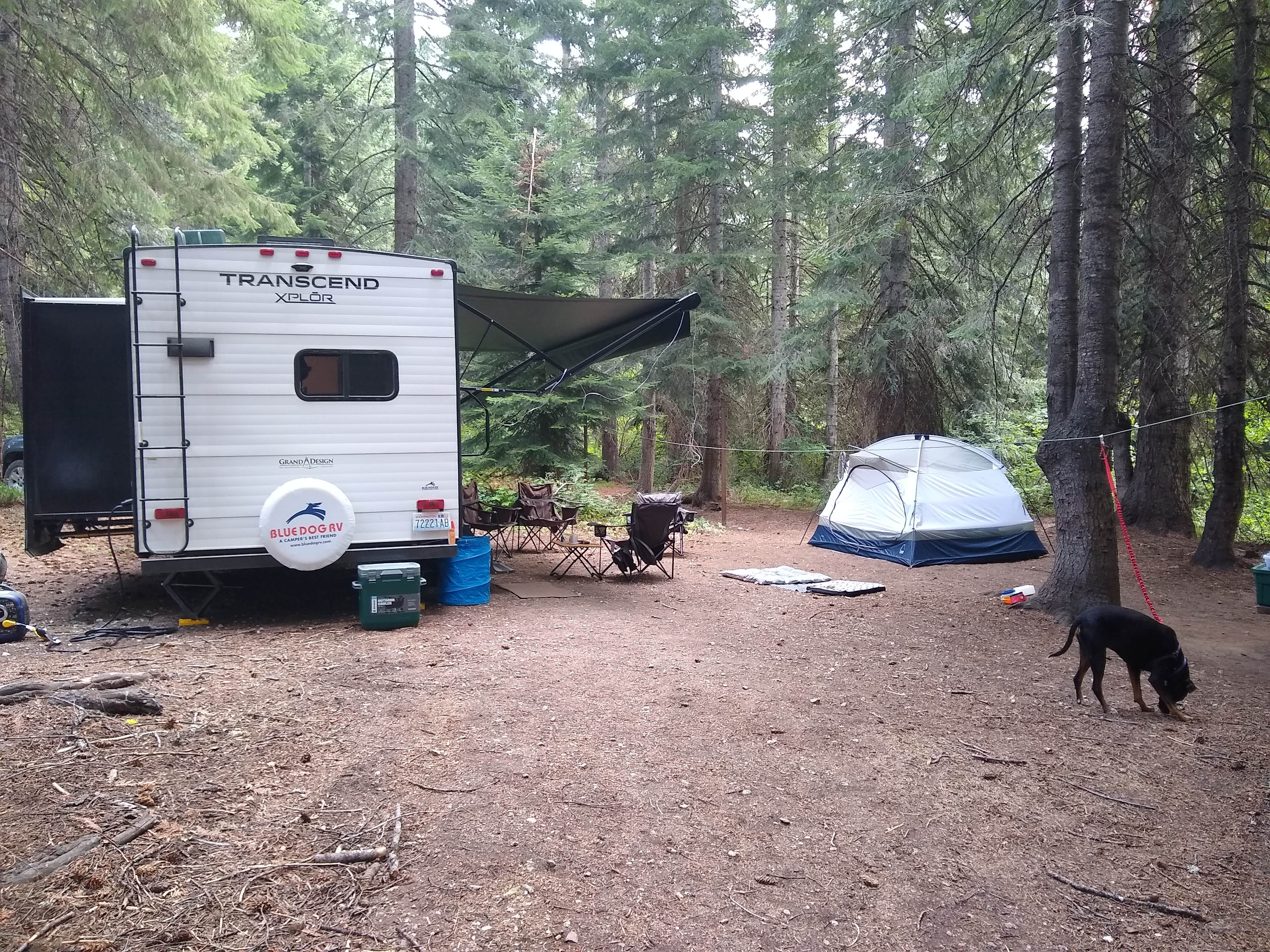 Jeff C.'s photo of tent camping at Chiwawa Horse Campground near Ardenvoir, WA
