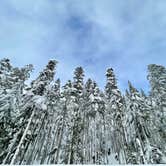 Review photo of Mt Hood Village Resort by Kristine B., February 2, 2022