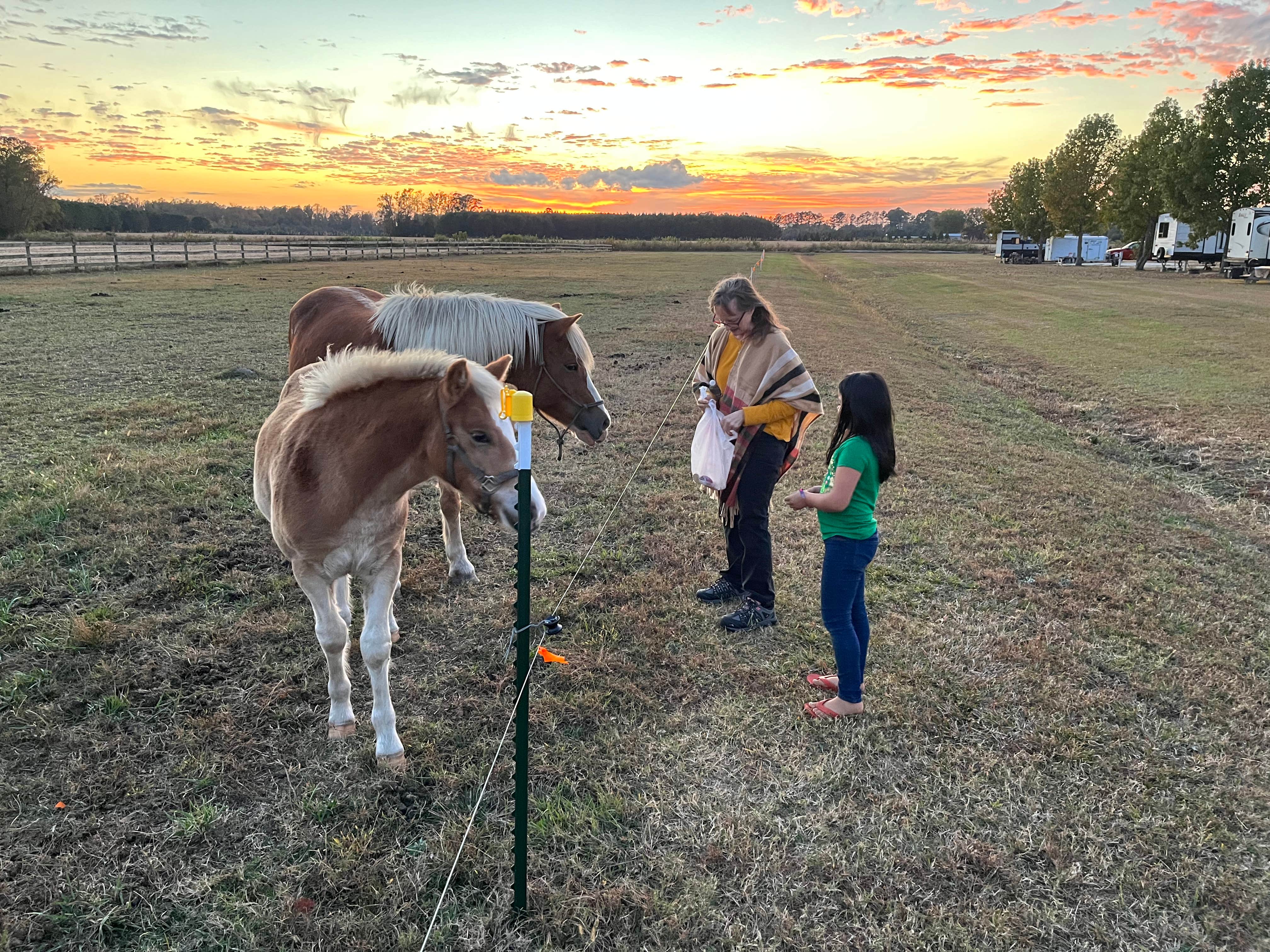 Camper submitted image from Farm Country Campground - 4