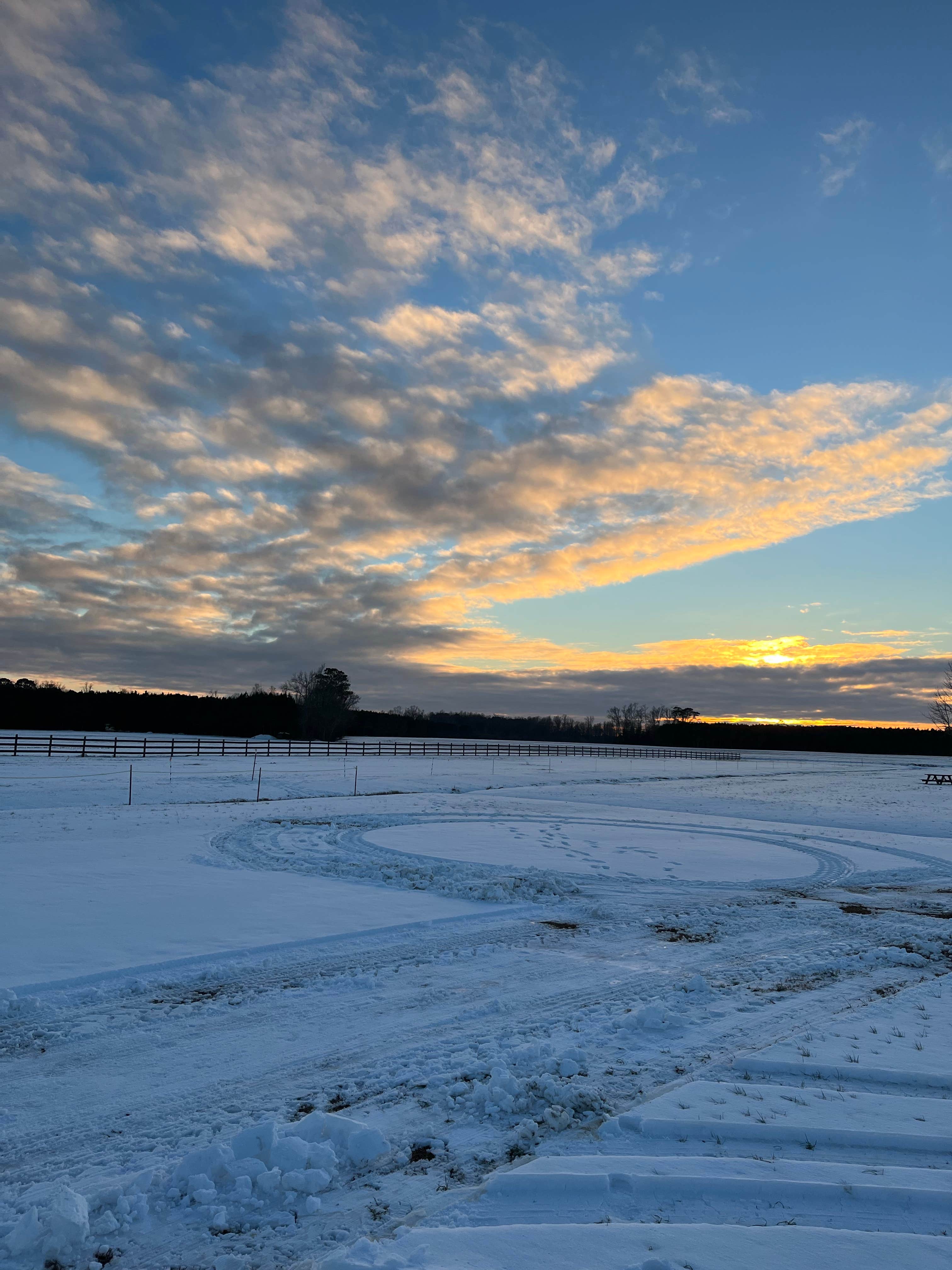 Camper-submitted photo at Farm Country Campground near Tarboro, NC