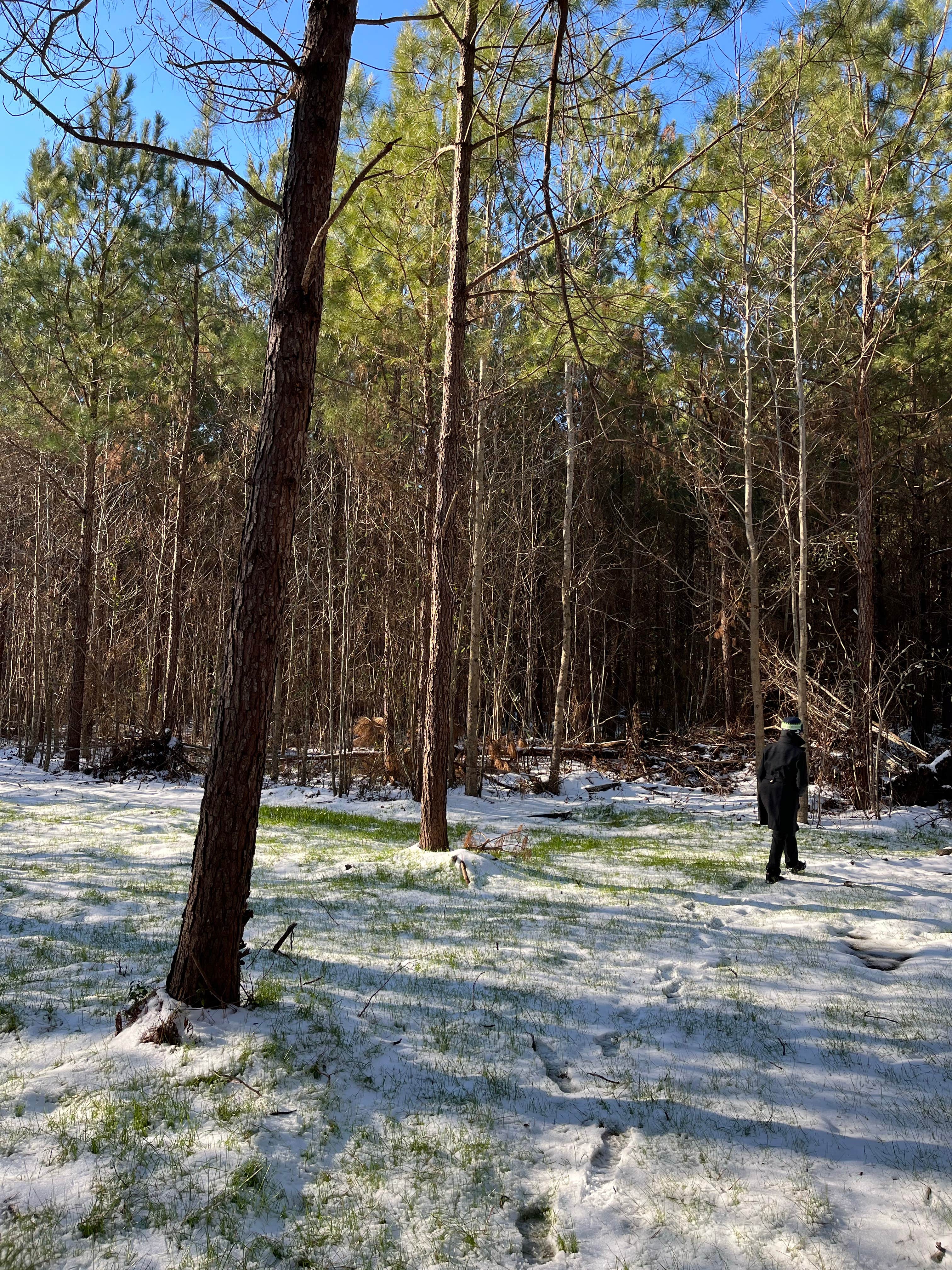 Camper submitted image from Farm Country Campground - 5
