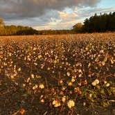 Review photo of Farm Country Campground by Dale P., February 2, 2022