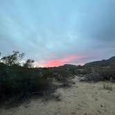 Review photo of Ghost Town Road BLM Camping by Aliza  N., February 3, 2022