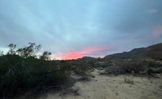 Aliza N.'s photo of a dispersed camping area at Ghost Town Road BLM Camping near Morristown, AZ