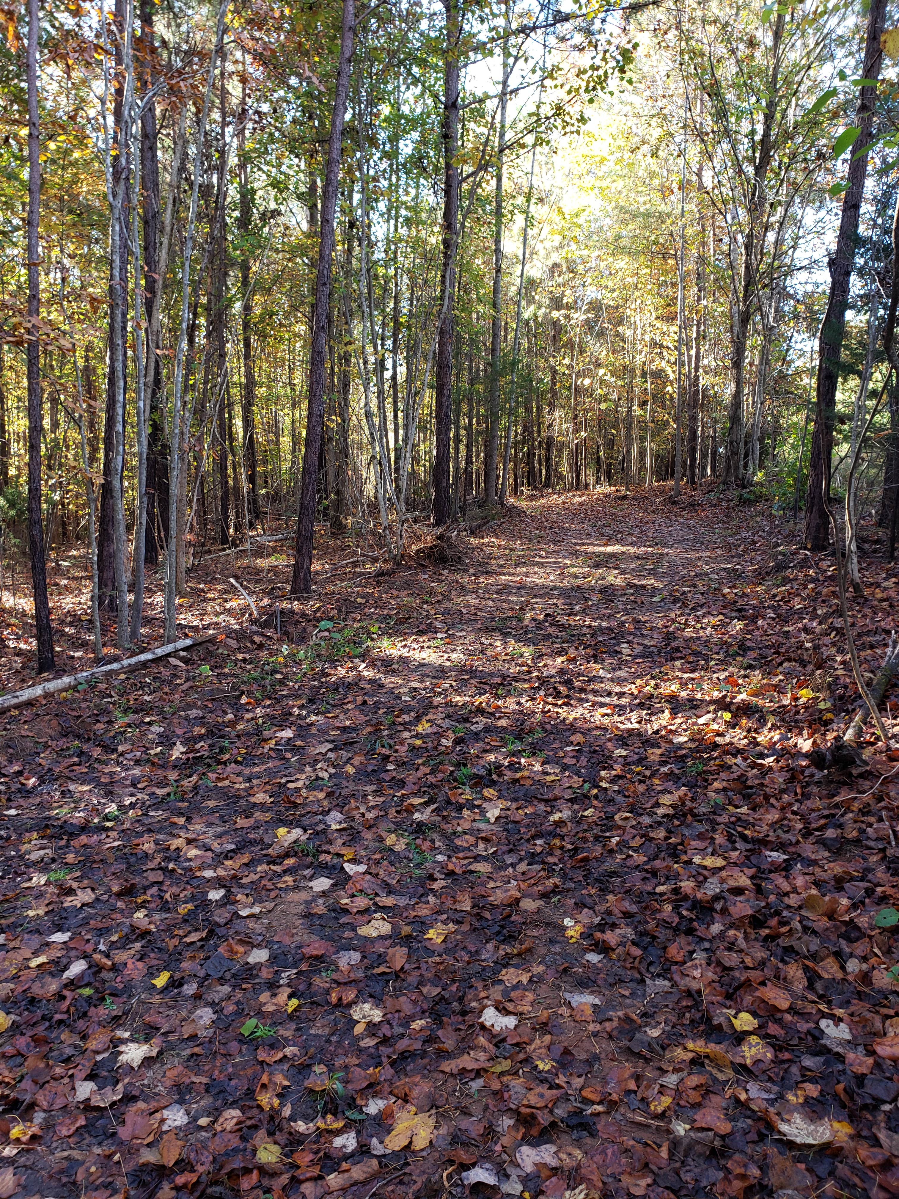 Camper-submitted photo at Daybreak Glamp Camp near Goochland, VA
