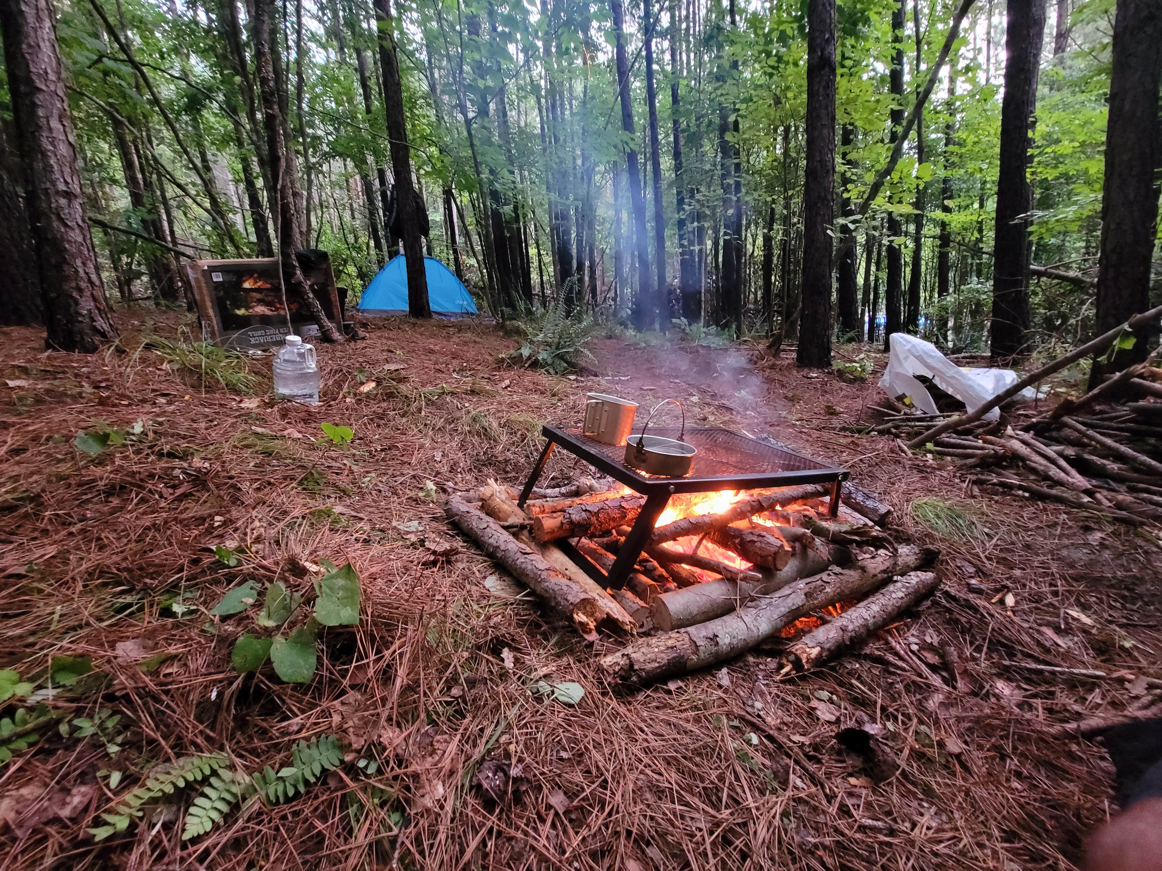 Camper-submitted photo at Daybreak Glamp Camp near Farmville, VA