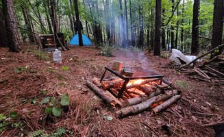 AJP W.'s photo of tent camping at Daybreak Glamp Camp near Colonial Heights, VA