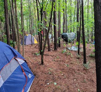 Camper-submitted photo from Canoe Landing Group Campsite — James River State Park
