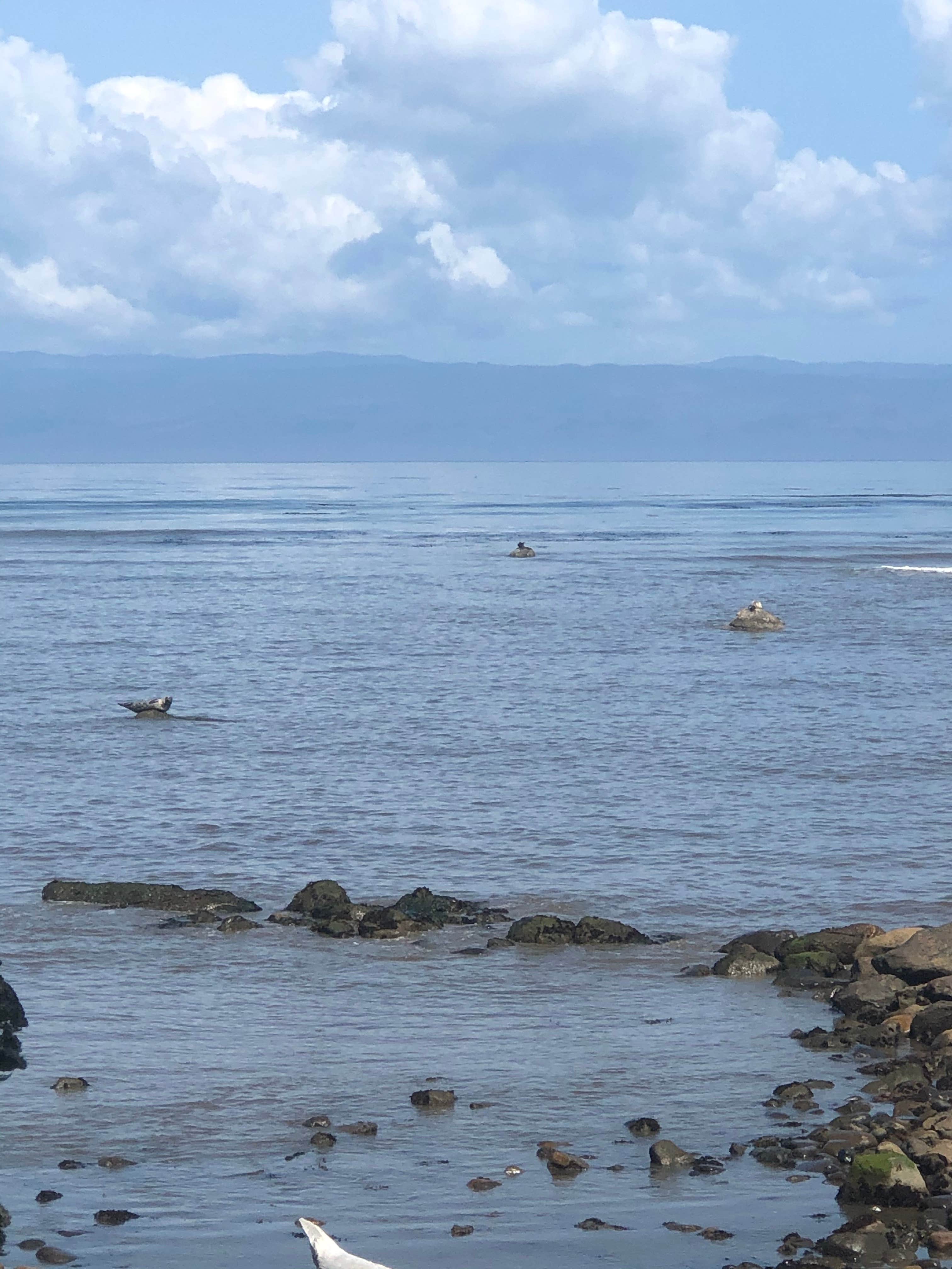 Camper-submitted photo at PRSRV Surf - Twin Beach near Sekiu, WA