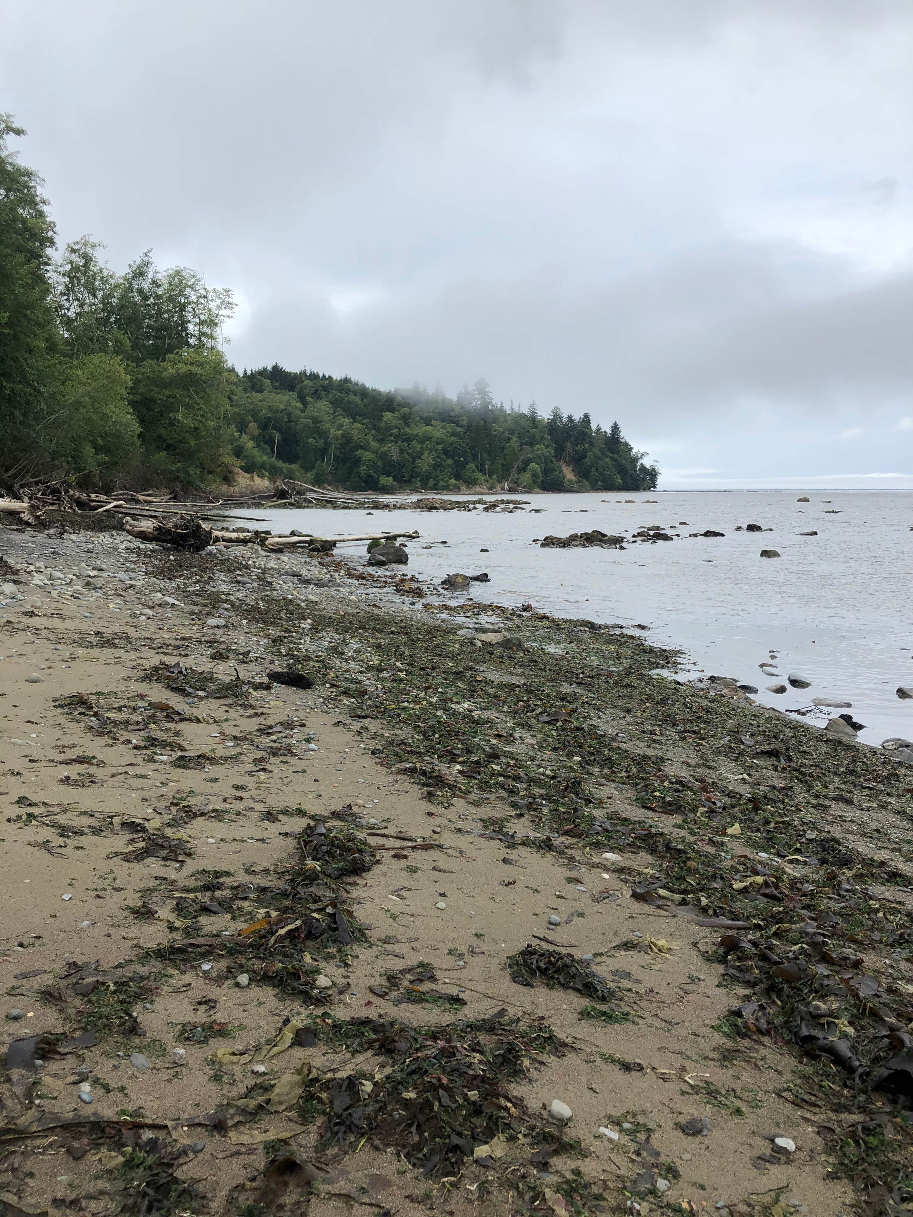 Camper-submitted photo at PRSRV Surf - Twin Beach near Sekiu, WA