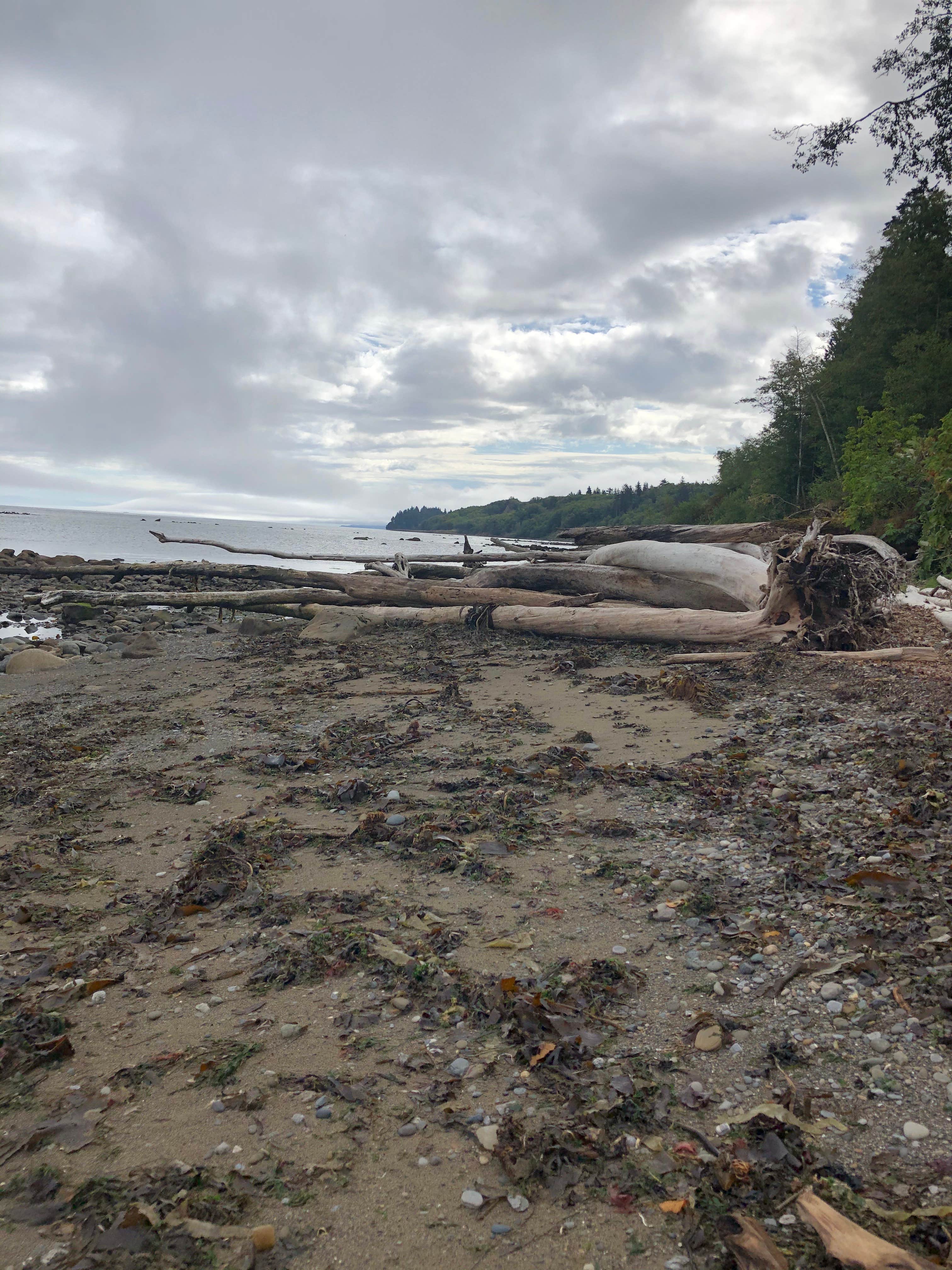 Camper-submitted photo at PRSRV Surf - Twin Beach near Sekiu, WA