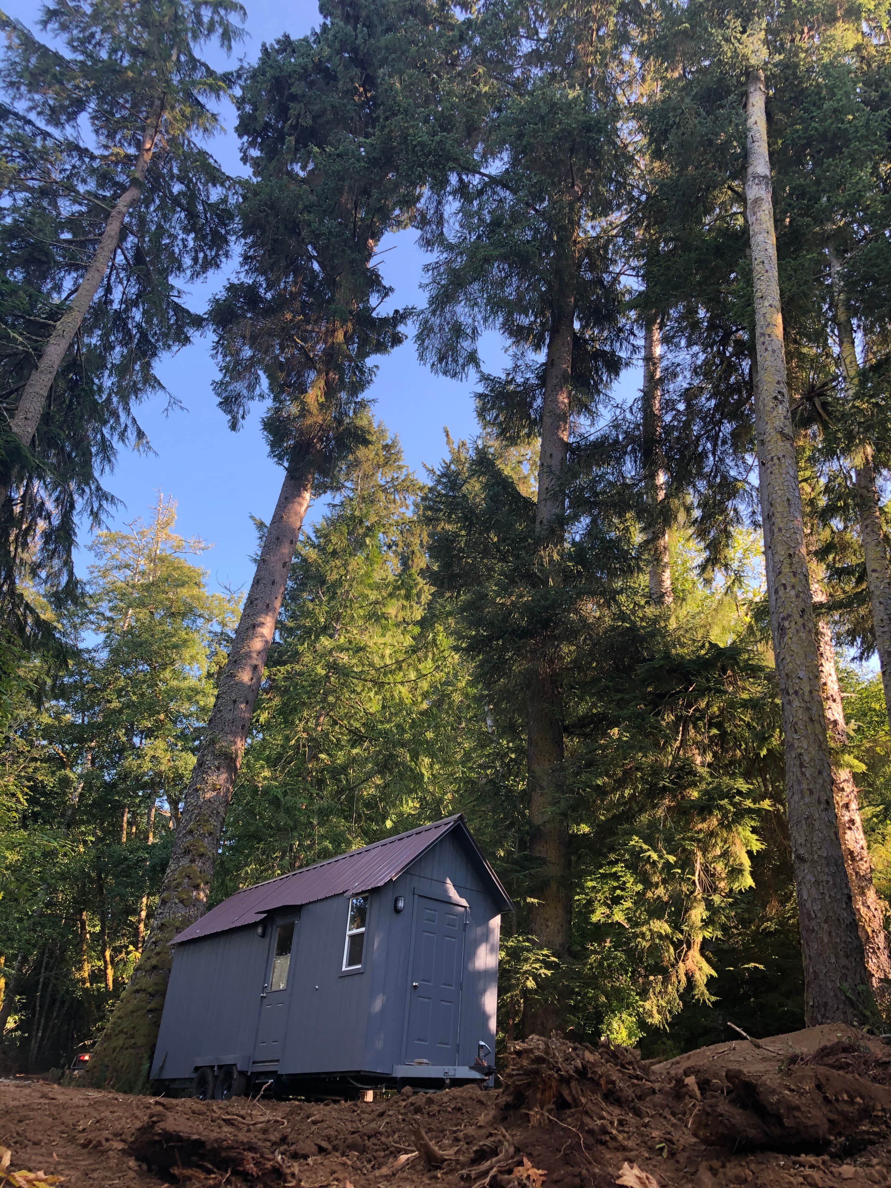 Ian J.'s photo of tent camping at PRSRV Surf - Twin Beach near Forks, WA
