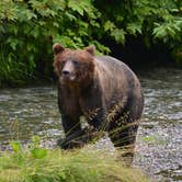 Review photo of Eagle Shadow Campground by Deanna C., July 9, 2018