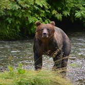 Review photo of Eagle Shadow Campground by Deanna C., July 9, 2018