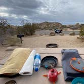 Review photo of Jumbo Rocks Campground — Joshua Tree National Park by Mark W., February 3, 2022