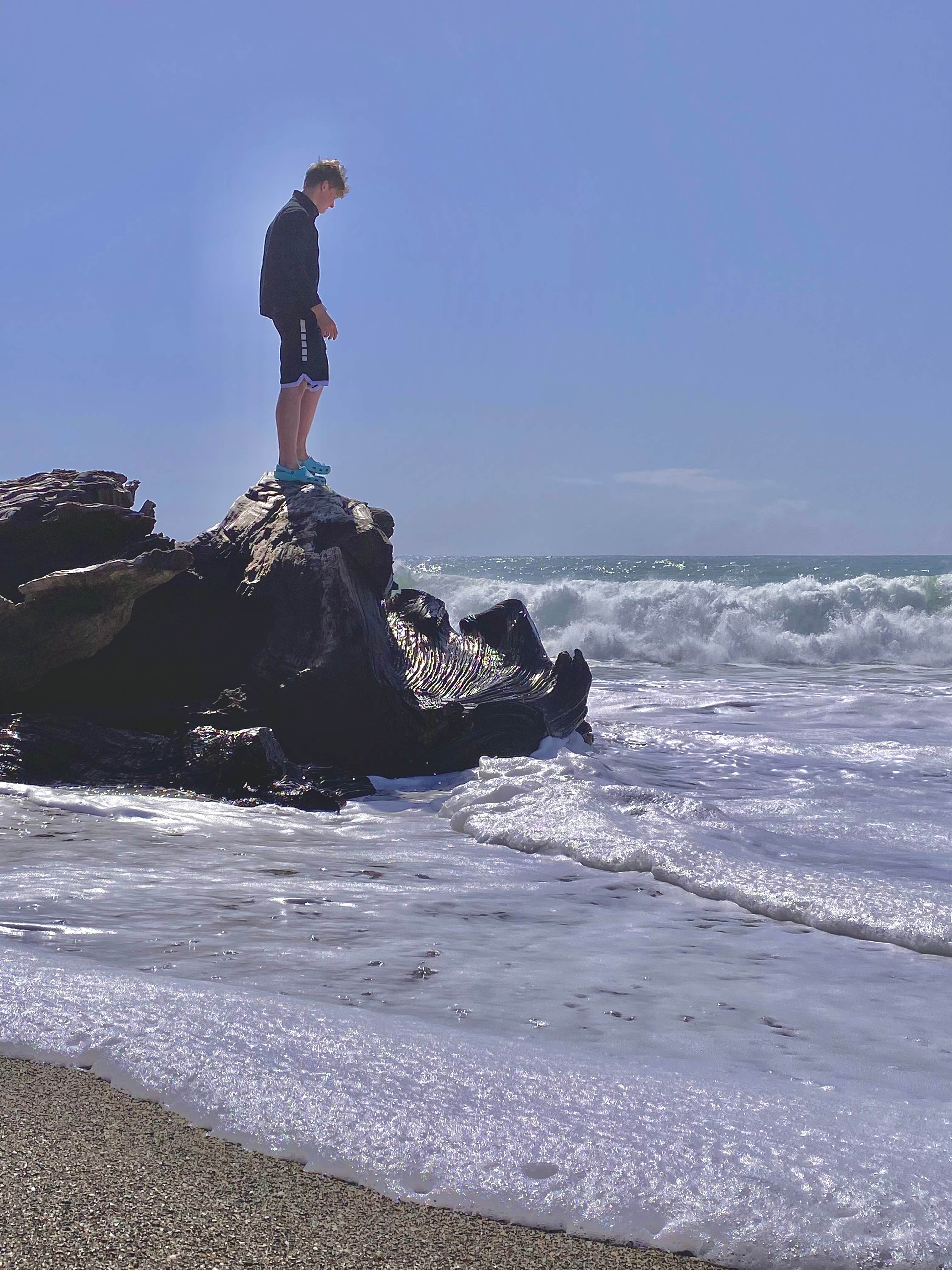 Camper submitted image from Navarro Beach Campground — Navarro River Redwoods State Park - 5