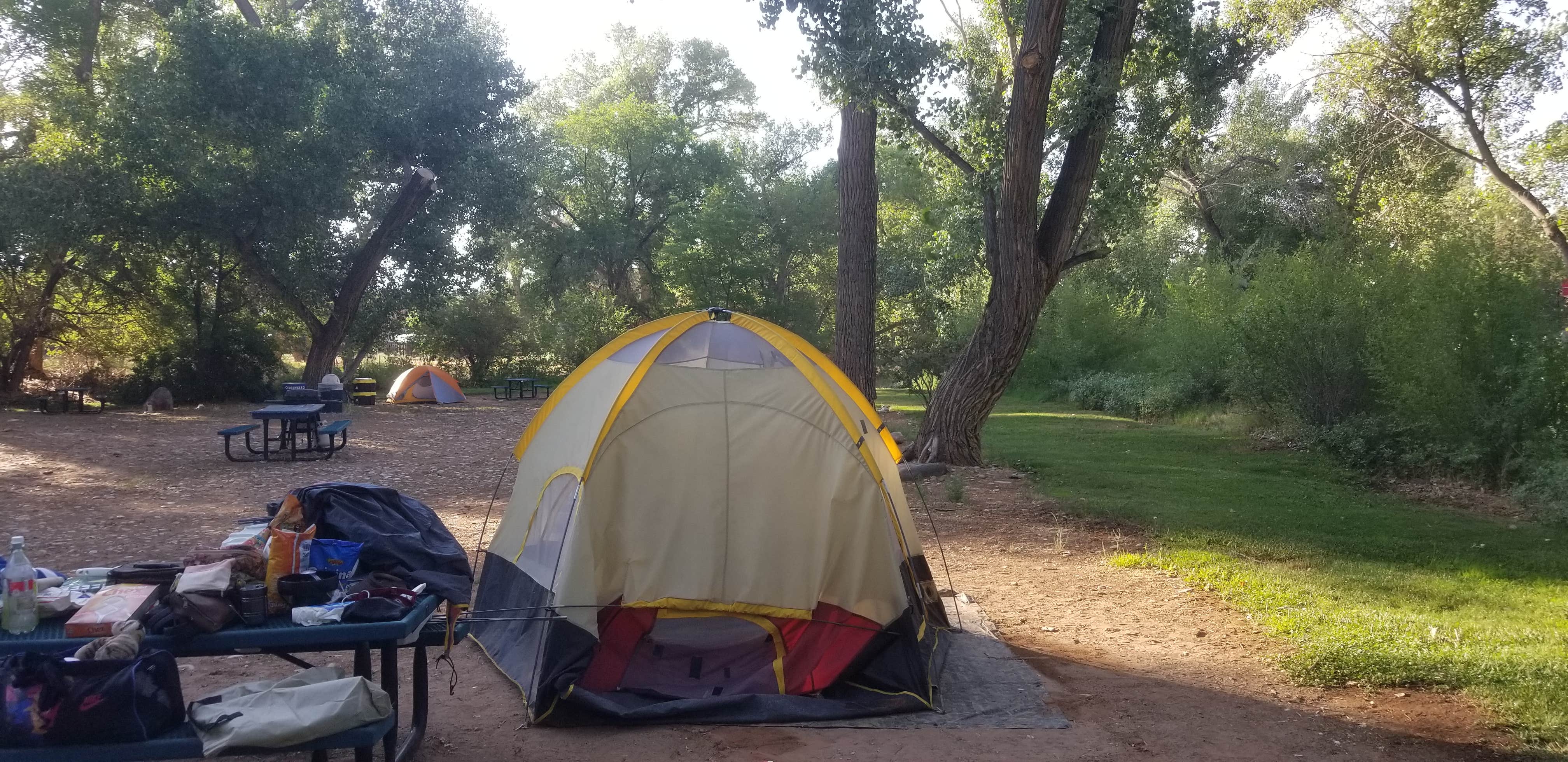Camper-submitted photo at Up the Creek Campground near Castle Valley, UT